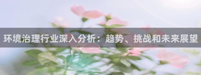 凯发k8官方旗舰店app|环境治理行业深