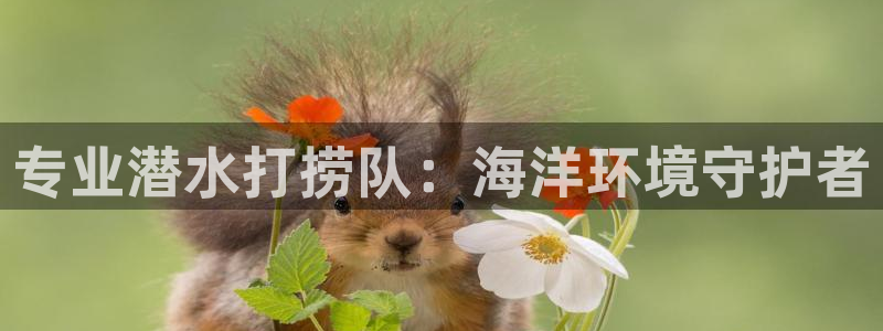 凯发官网入口首页|专业潜水打捞队：海洋环