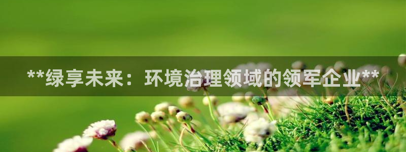 凯发k8·中国官方网站|**绿享未来：环境治理领域的领军企业**