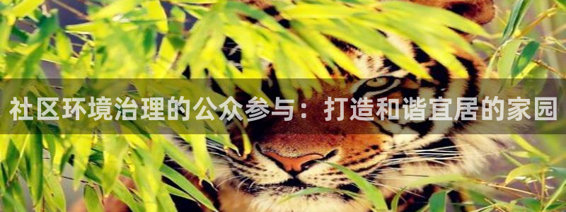 凯发就来凯发天生赢家一触即发|社区环境治