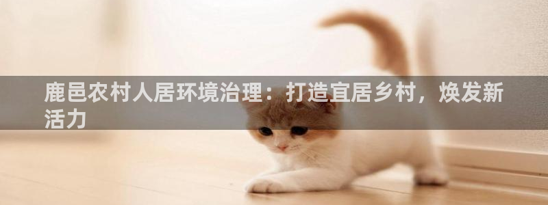 百家乐凯发k8|鹿邑农村人居环境治理：打