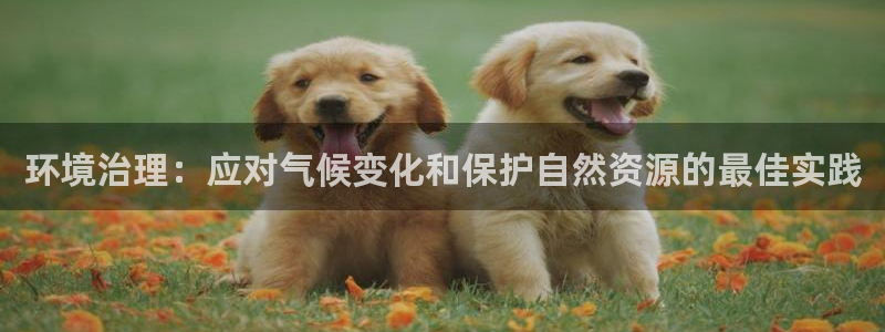k8凯发国际官方入口|环境治理：应对气候