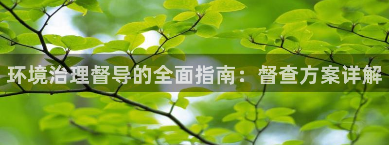 凯发国际官方网站|环境治理督导的全面指南：督查方案详解