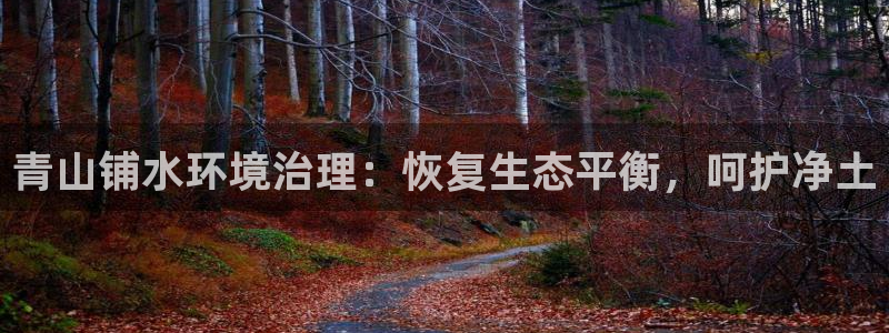 凯发k8娱乐官网手机端|青山铺水环境治理