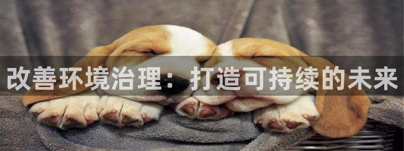 凯发k8一触即发