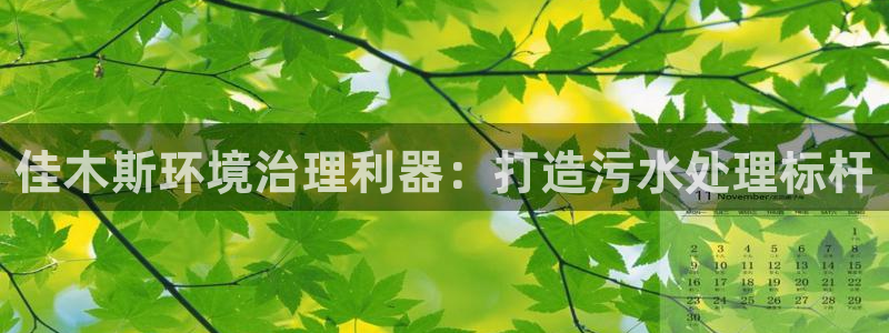 百家乐凯发k8|佳木斯环境治理利器：打造污水处理标杆