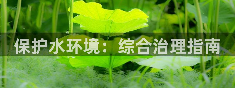 凯发官网入口首页|保护水环境：综合治理指南
