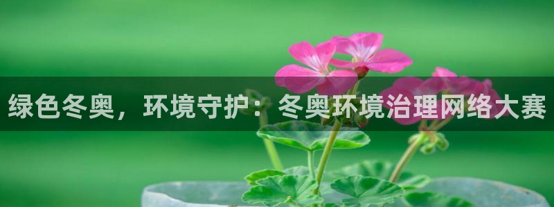 凯发k8·中国官方网站|绿色冬奥，环境守护：冬奥环境治理网络大赛
